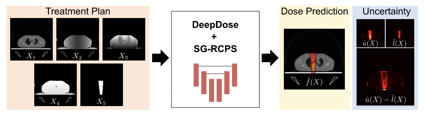 Subgroup-Specific Risk-Controlled Dose Estimation in Radiotherapy